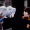 luna-malfoy-43