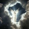 angel-1-live