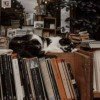 archy-letter