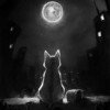 blacket-night