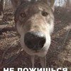 dasha69260678