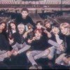 shiper-blacbangtan