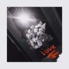 black-rose-4