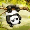 panda-ae666