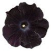 user00028114