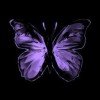 yooniverse1310