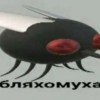 user32859082