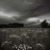 sashaminiyard-237