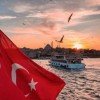 turkishtulip