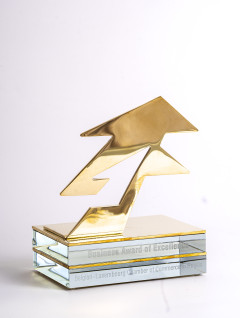 Международная Европейская премия «Business Award of Excellence»