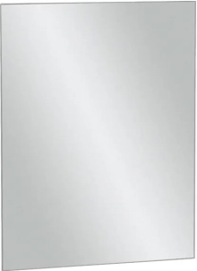 Зеркало Jacob Delafon EB1081-NF 50 см 