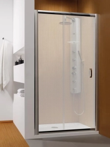 Душевая дверь в нишу Radaway Premium Plus DWJ 120 стекло фабрик 