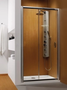 Душевая дверь в нишу Radaway Premium Plus DWJ 120 прозрачное стекло 