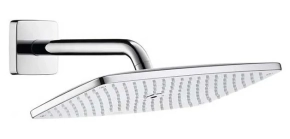 Верхний душ Hansgrohe Raindance 27371000 