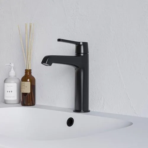 Смеситель RGW Shower Panels SP-301B для раковины
