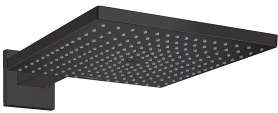 Верхний душ Hansgrohe Raindance E 26238670