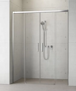 Душевая дверь в нишу Radaway Idea DWD 160 