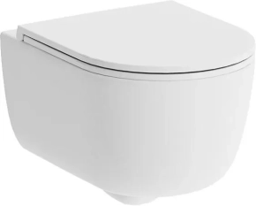 Унитаз подвесной Damixa Sirius DX86C1700SC с микролифтом 