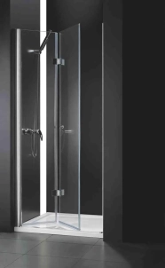 Душевая дверь в нишу Cezares Elena W-BS-12-100-C-Cr 