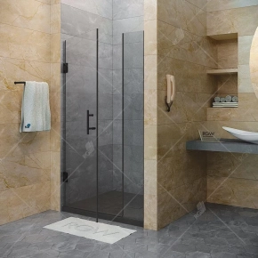 Душевая дверь в нишу RGW Hotel HO-012B 120 см профиль черный 