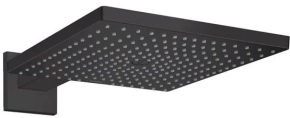 Верхний душ Hansgrohe Raindance E 26238670 