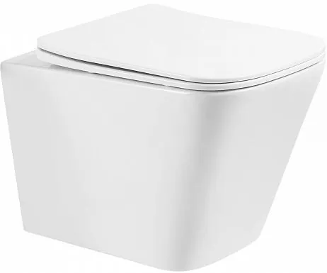 Унитаз подвесной BelBagno Ardente-R безободковый