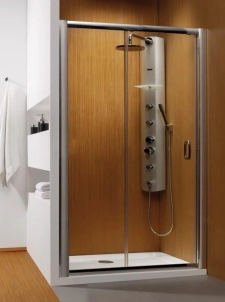 Душевая дверь в нишу Radaway Premium Plus DWJ 150 прозрачное стекло 