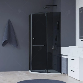 Душевой уголок RGW Hotel HO-081B 100х100 стекло тонированное 