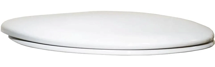 Крышка-сиденье Roca Mateo ZRU9302822 с микролифтом, петли хром