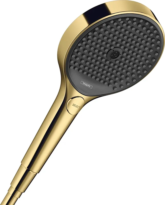Душевая лейка Hansgrohe Rainfinity 26864990