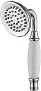 Душевая лейка Lemark LM8007C