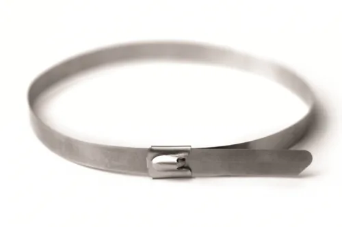 Хомут из нержавеющей стали AISI 316 4,6х350 DKC