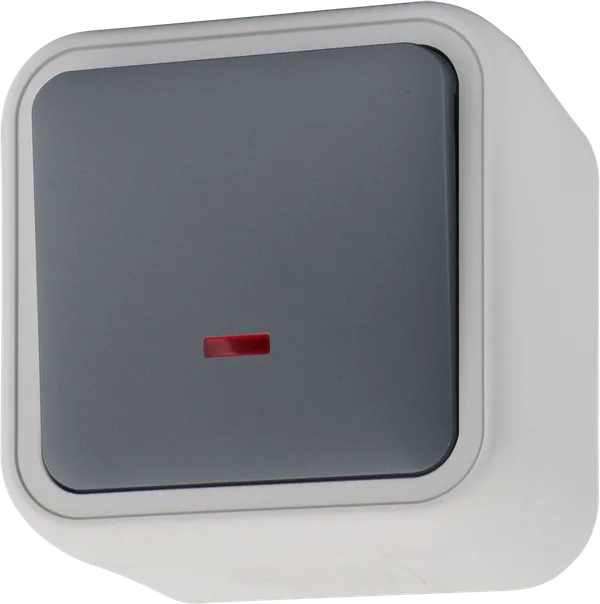 Donel W55 Выключатель звонкового типа 1-кл. накладной, с подсв., серый, IP55, серия (тип) DIP55 — фото 2
