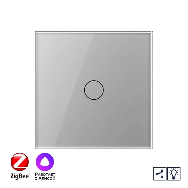 Одноклавишный проходной умный сенсорный диммер Livolo ZigBee, 1 пост, Серый VL-C701SD2Z-2IG — фото 2