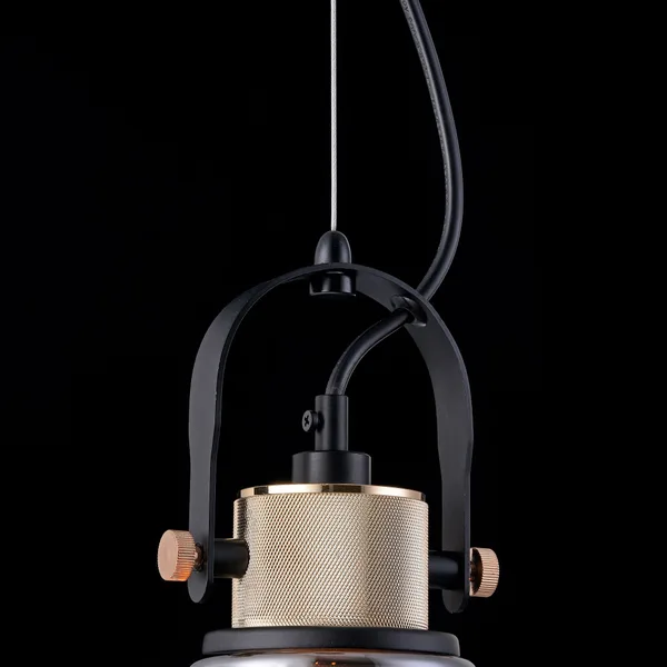 Подвесной светильник 1*E27 40Вт Черный IP20 Irving T163PL-01C Maytoni — фото 4