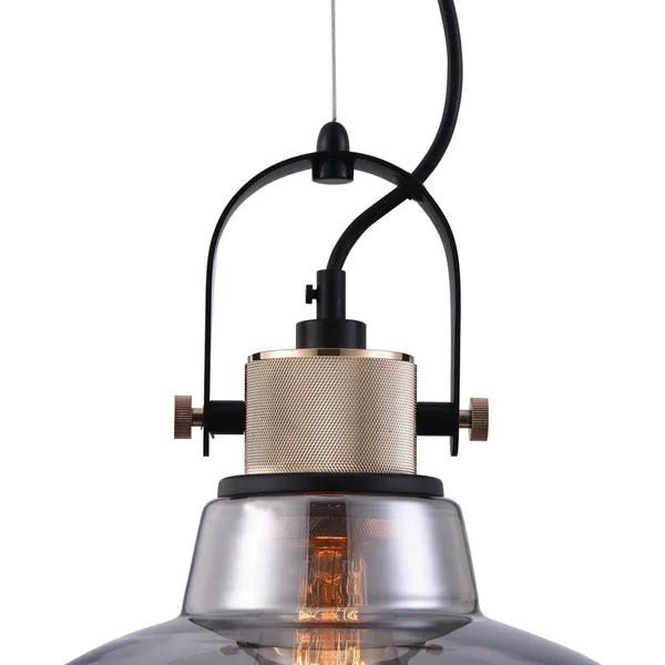 Подвесной светильник 1*E27 40Вт Черный IP20 Irving T163PL-01C Maytoni — фото 2