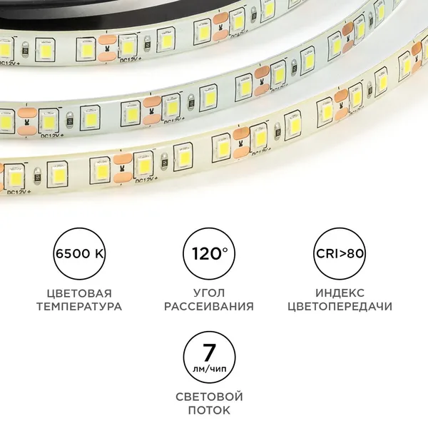 LSE-261 Светодиодная лента 12В, 9,6Вт/м, 840лм/м, 6500К, smd2835, 120д/м, IP65, ширина подложки 8мм, 5м, х/б OGM APEYRON — фото 4
