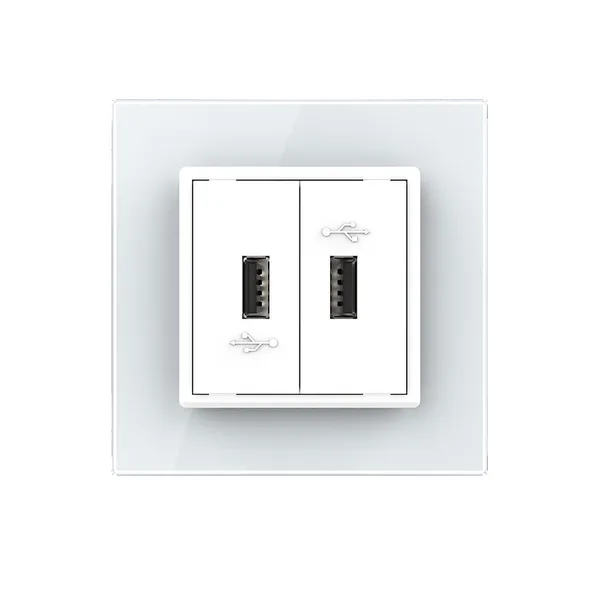 Розетка USB с блоком 5В 2.1А двойная Белая Livolo — фото 2