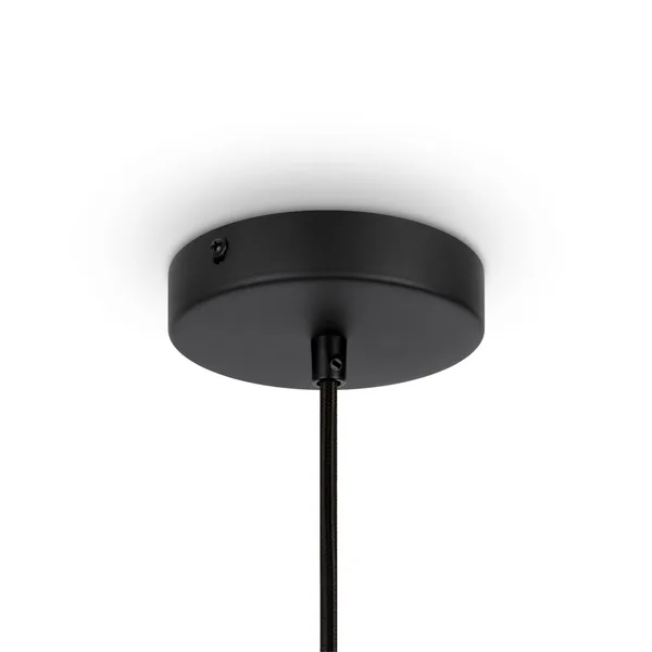 Подвесной светильник 1*E27 40Вт Черный IP20 Roots MOD191PL-01W Maytoni — фото 4