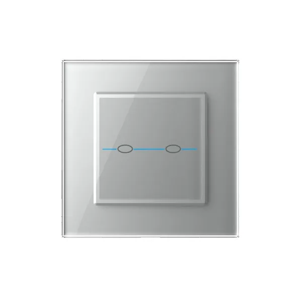 Сенсорный выключатель Quadro 2 клавиши 1 пост Серый Livolo — фото 2
