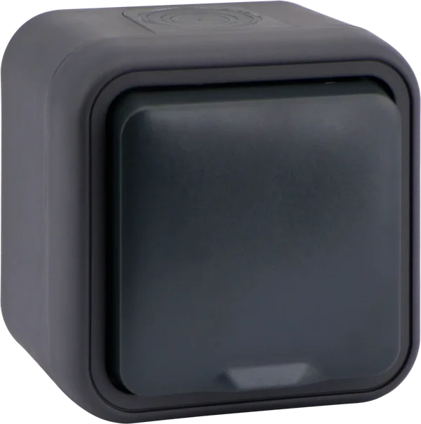 Donel W55 Розетка 1-я с защ.крышкой,2К+З. и шт., накладная, антрацит, IP55, серия (тип) DIP55 — фото 2