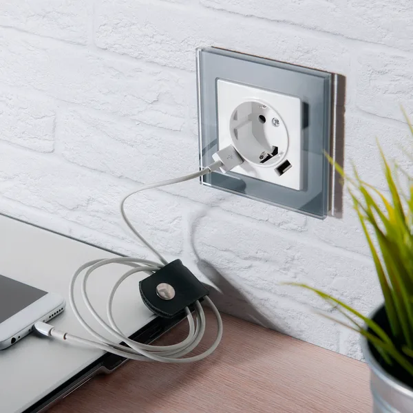 Встраиваемые механизмы Розетка СУ 1-м с 2 USB 5В/2,4А, 2х5В/1,2А, 16А Белый IP20 Werkel — фото 3