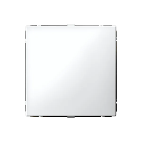 ARTGALLERY ЗАГЛУШКА без суппорта для многопостовых рамок, БЕЛЫЙ Systeme Electric Systeme Electric (Schneider Electric)