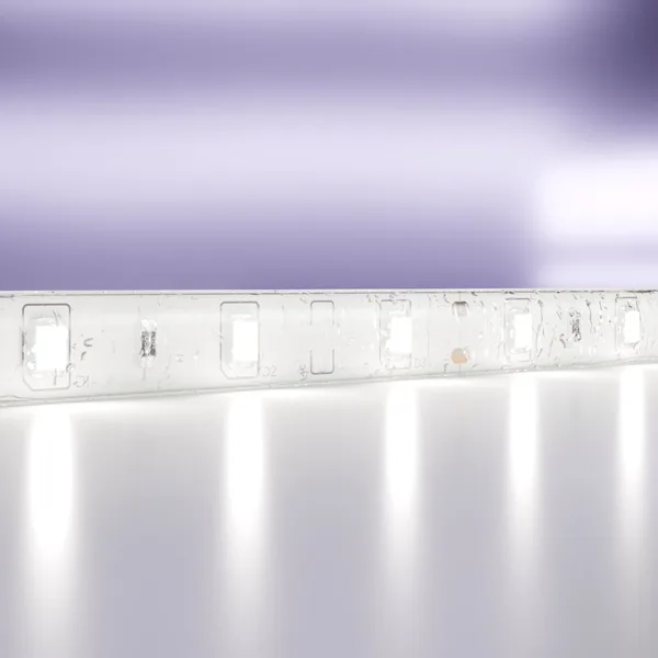 Лента светодиодная 12В 2835 4,8Вт/м 60LED/м 6000K 5м IP65 Technical Maytoni — фото 2