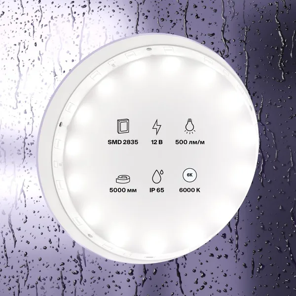 Лента светодиодная 12В 2835 4,8Вт/м 60LED/м 6000K 5м IP65 Technical Maytoni — фото 3