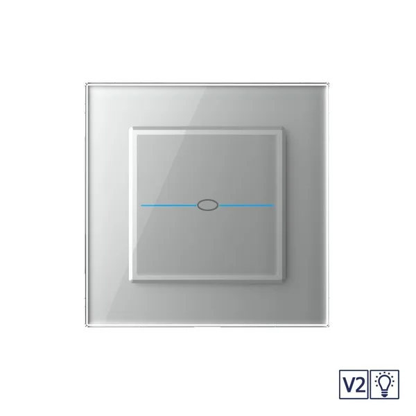 Сенсорный диммер Quadro версия 2, 1 клавиша 1 пост Серый Livolo — фото 2