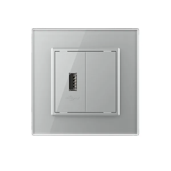 Розетка USB с блоком 5В 2.1А Серая Livolo — фото 2