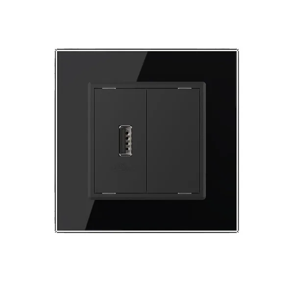 Розетка USB с блоком 5В 2.1А Черная Livolo — фото 2