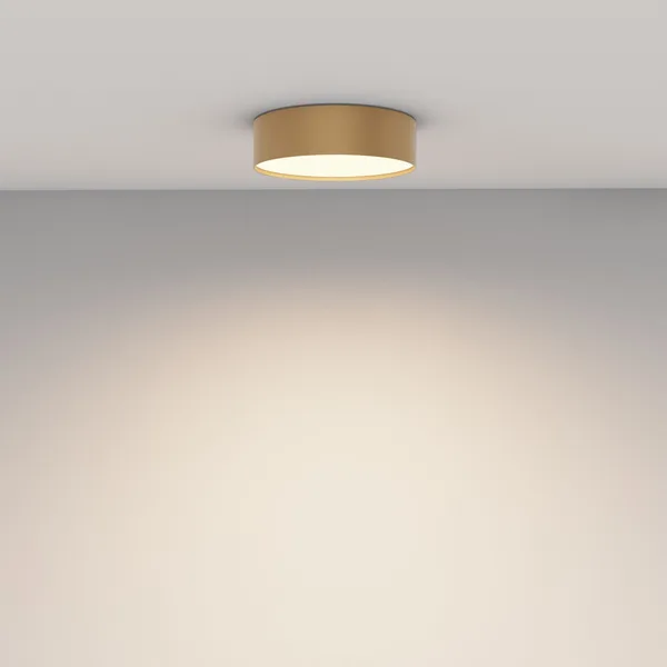 Потолочный светильник LED 24Вт Матовое Золото IP20 Ceiling & Wall C032CL-24W3K-RD-MG Technical Maytoni — фото 4