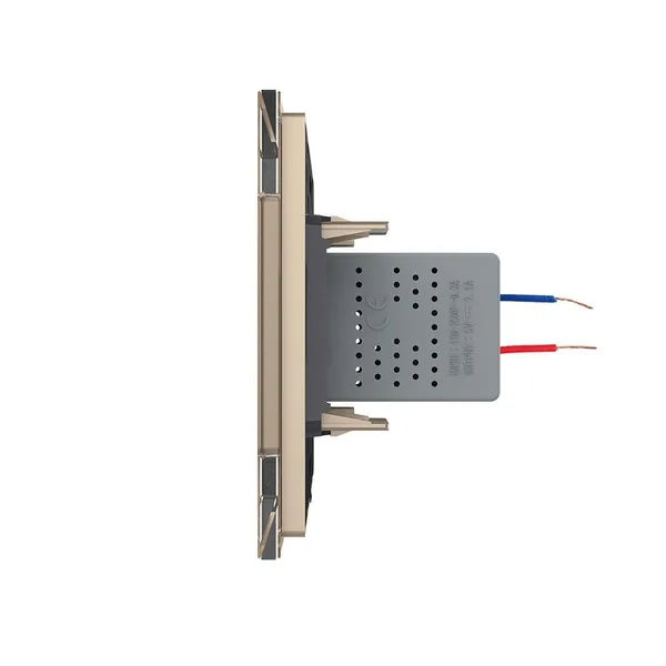 Розетка USB с блоком 5В 2.1А Золотая Livolo — фото 3